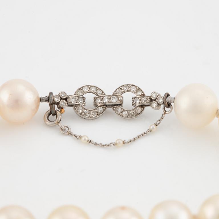 Bracelet, with pearls, clasp platinum with diamonds.