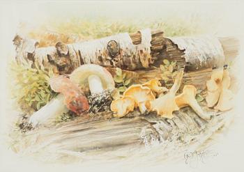 Fritz Jakobsson, watercolour, signed and dated 1987.