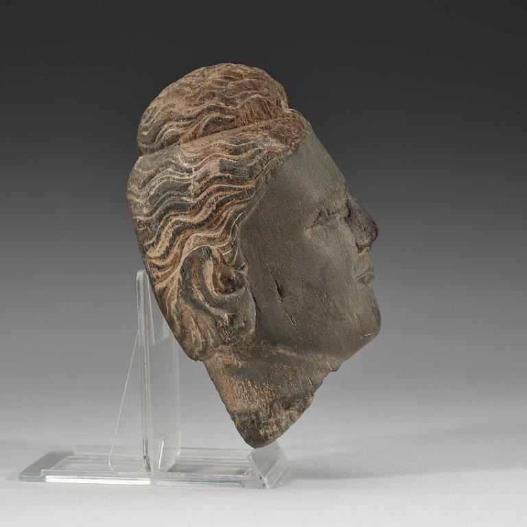 A stone sculpture of a head, Gandhara, presumably 2nd/3rd Century.