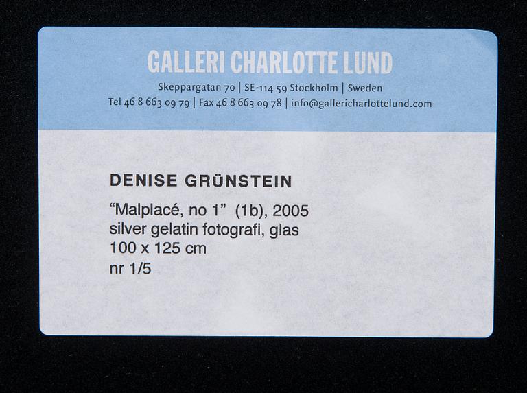 Denise Grünstein, "Malplacé, no 1" (1b), 2005.