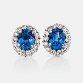 A pair of sapphire and diamond earrings. Sapphires circa 3.50cts and diamonds circa 1.00ct in total.