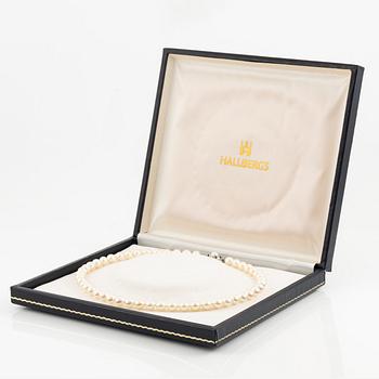 Pärlcollier, med odlade pärlor, med lås 18K vitguld med safirer.