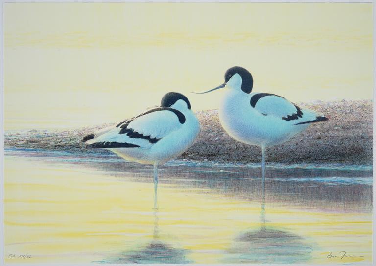 Lars Jonsson, portfolio "Strandspeglingar" with 5 lithographs in colour, signed EA XIV/XL.