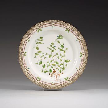 TALLRIKAR, 13 stycken, porslin. ”Flora Danica”, Kunglig Dansk, 1900-tal.
