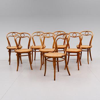 STOLAR, 8 st, Thonet, 1900-talets första hälft.