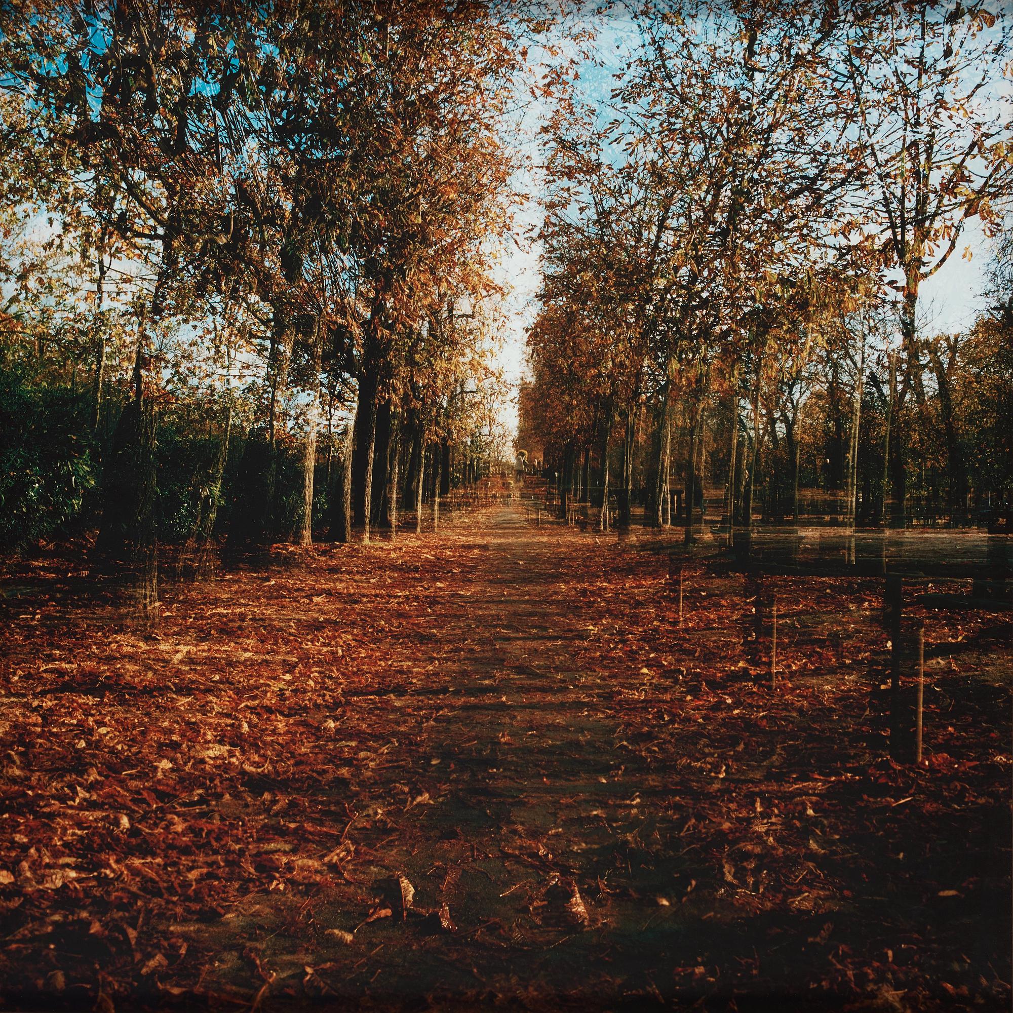 Marie Andersson, "Inferno x 3 - Luxembourg trädgården", 2010.