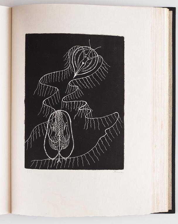 PORTFÖLJ, "Paroles Peintes I+II" (41).