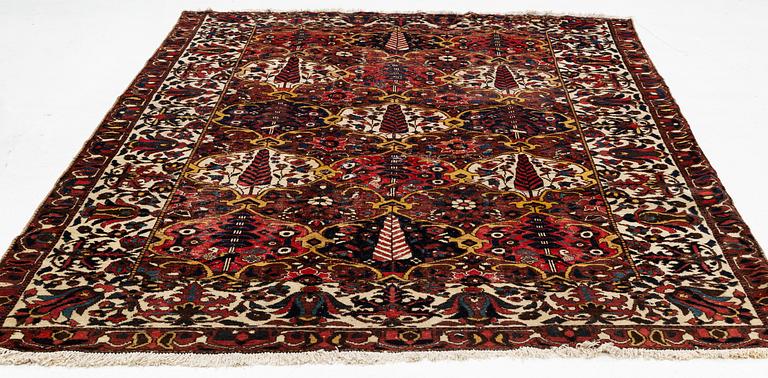 Matta, Baktiari, ca 295 x 215 cm.