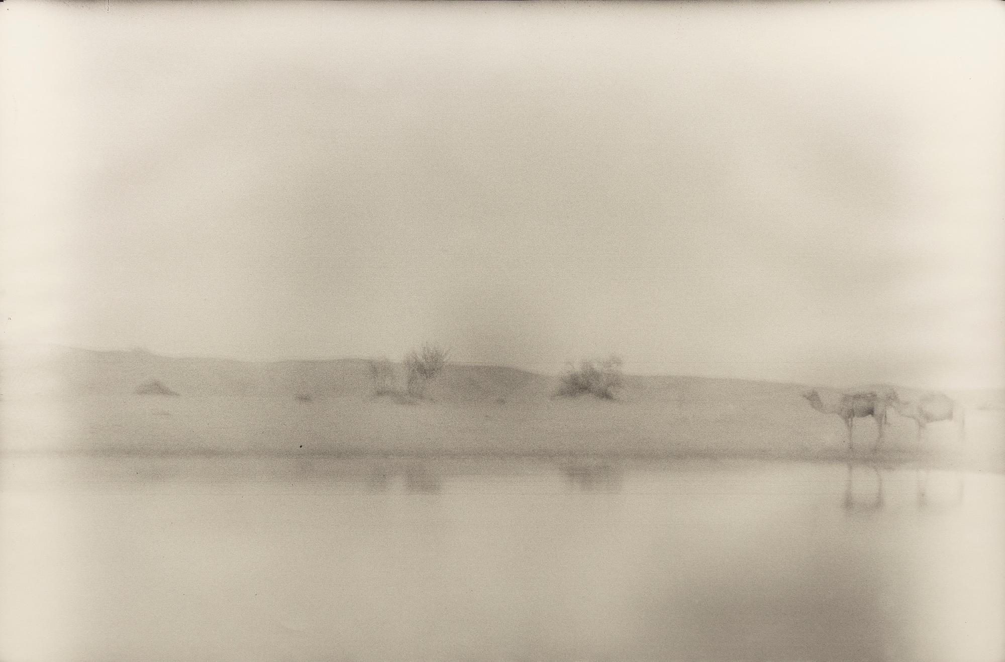 Denise Grünstein, "Blyertskameler", 1999.