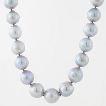 COLLIER, med odlade pärlor.