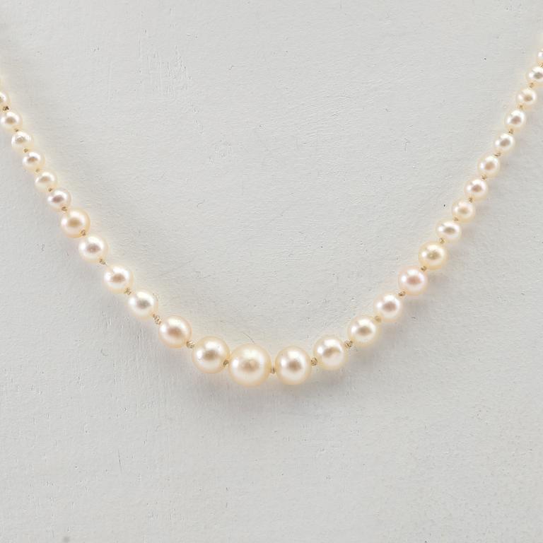 Necklace of cultured pearls with a clasp of gold set with diamonds.