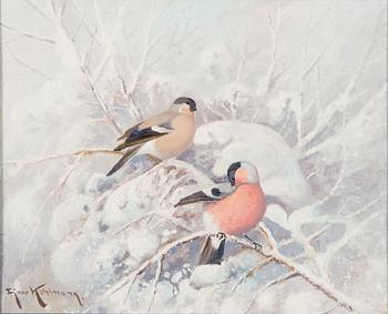 Ejnar Kohlmann, Bullfinches.