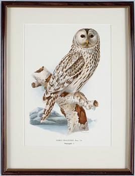 WILHELM & MAGNUS, VON WRIGHT, färglitografi, 4st, 1920.