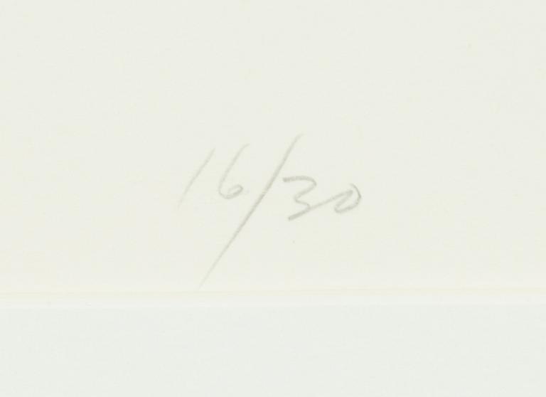 Sam Francis, "20th Anniversary - The American Film Institute 1967-1987".