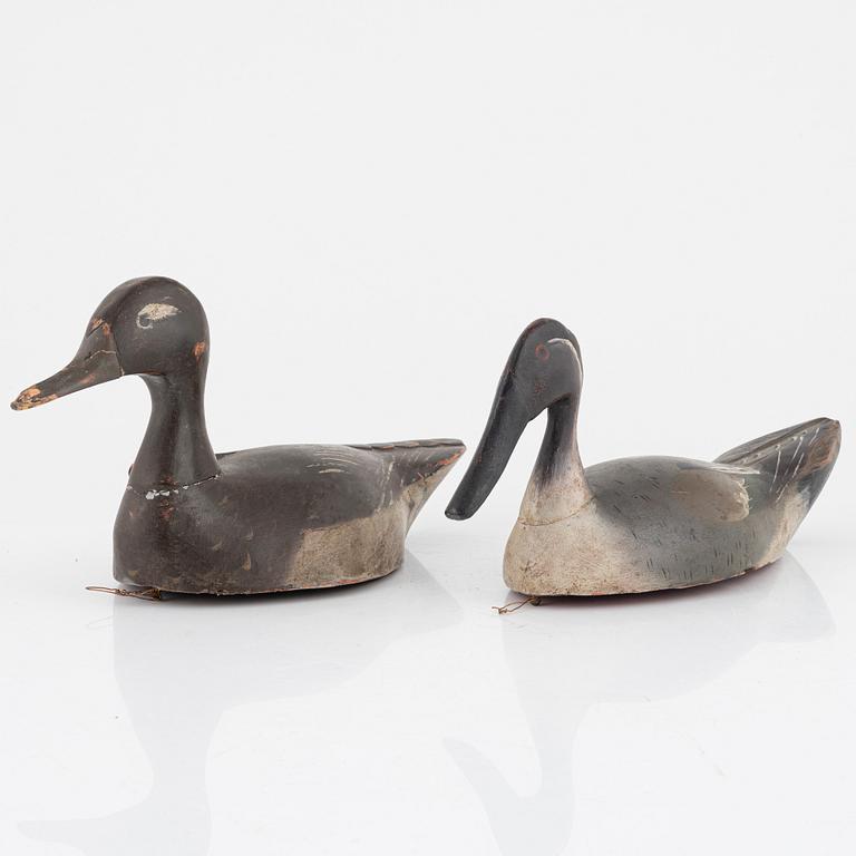 Two wooden decoy ducks, first half of the 20th Century.