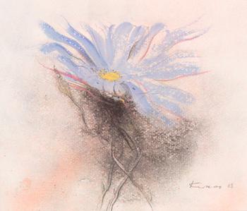 Kimmo Kaivanto, Kukka.