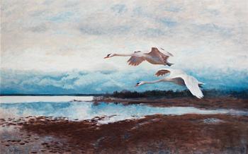 41. Bruno Liljefors, Swans in Flight.