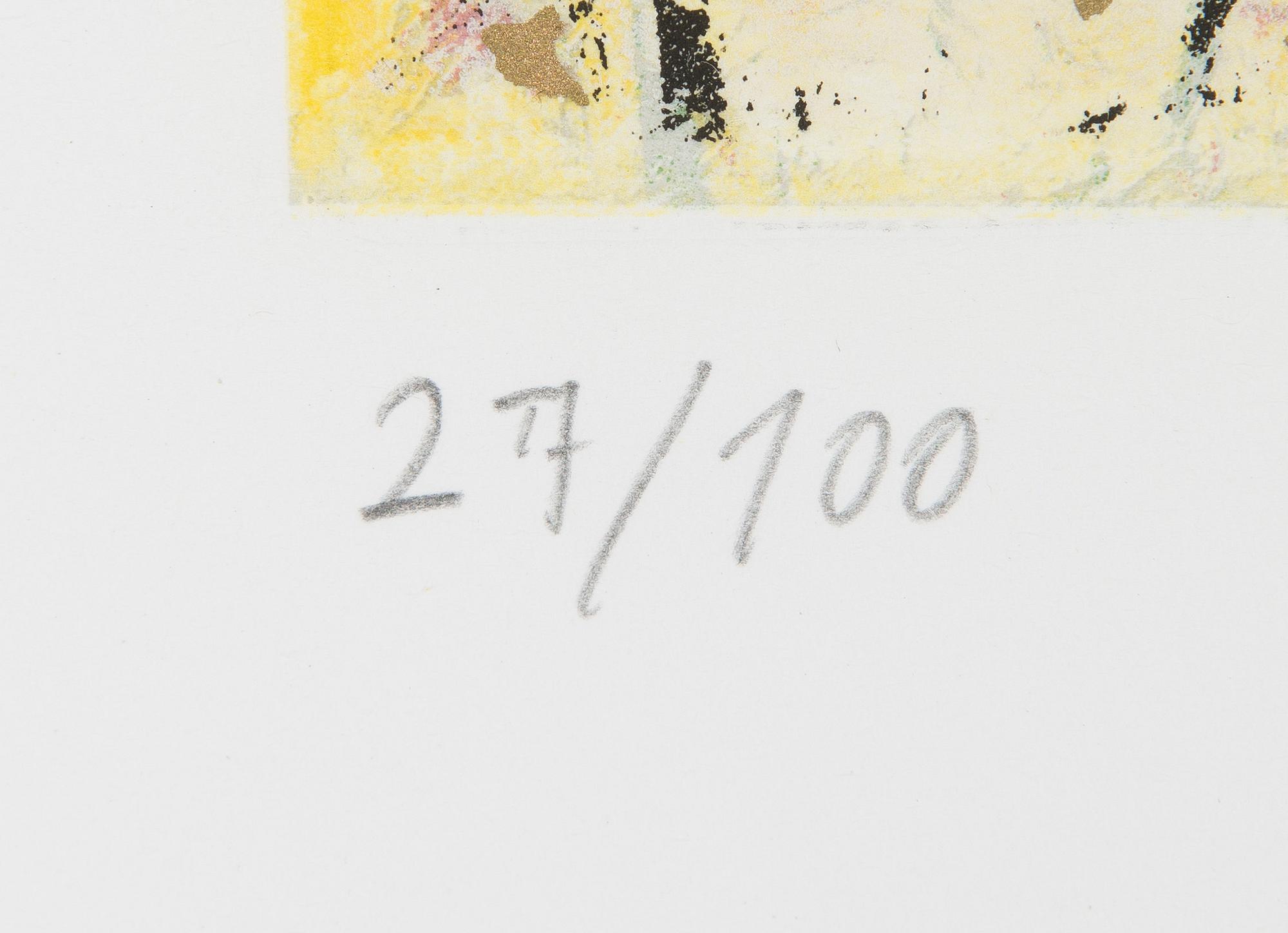 Canal Cheong-Jagerroos, Sommitelma.