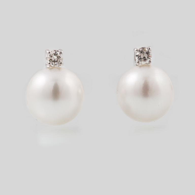 ÖRHÄNGEN, 18K vitguld med briljantslipade diamanter ca 0.39 ct samt odlade South Seapärlor. Vikt 10,1 gram.