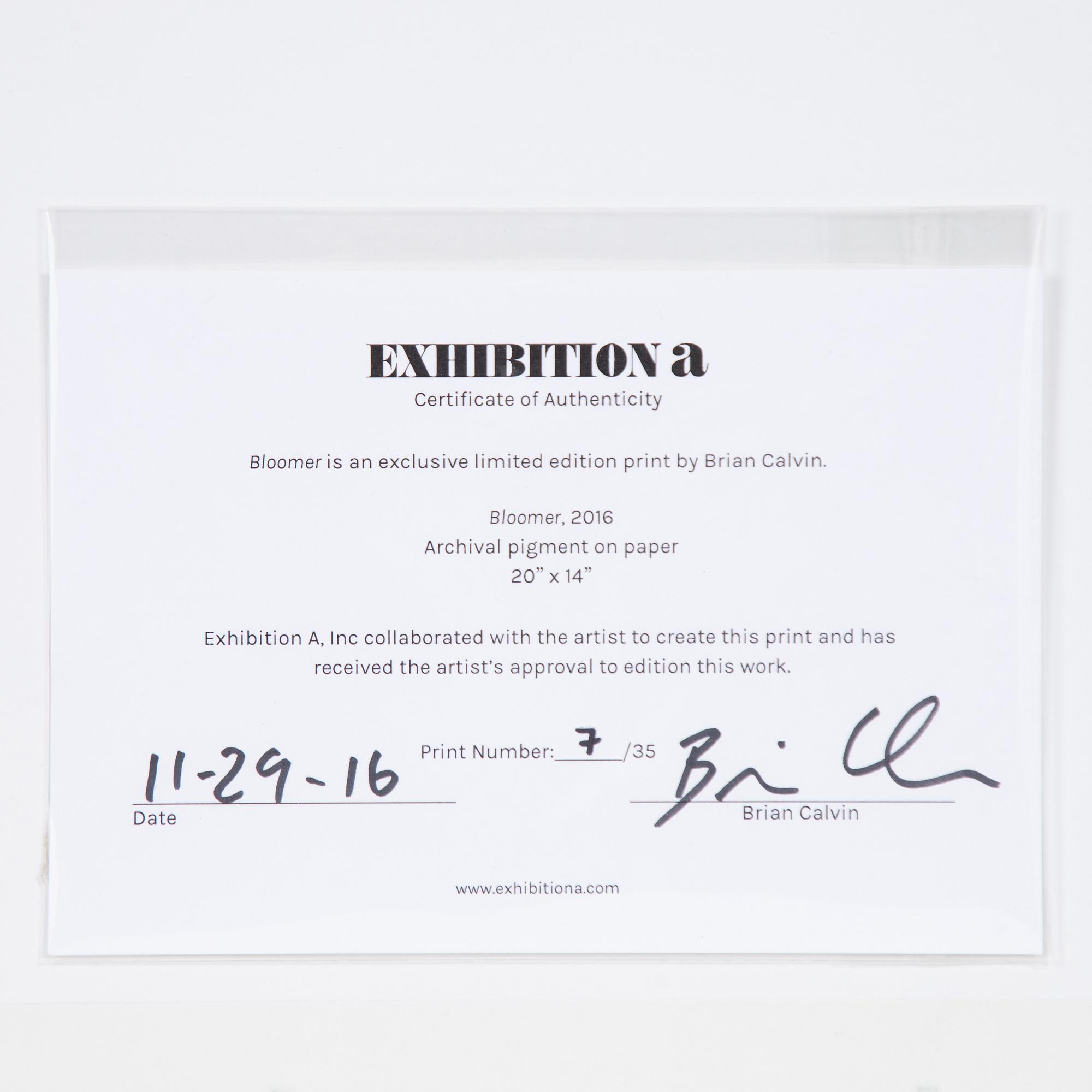 Brian Calvin, "Bloomer".