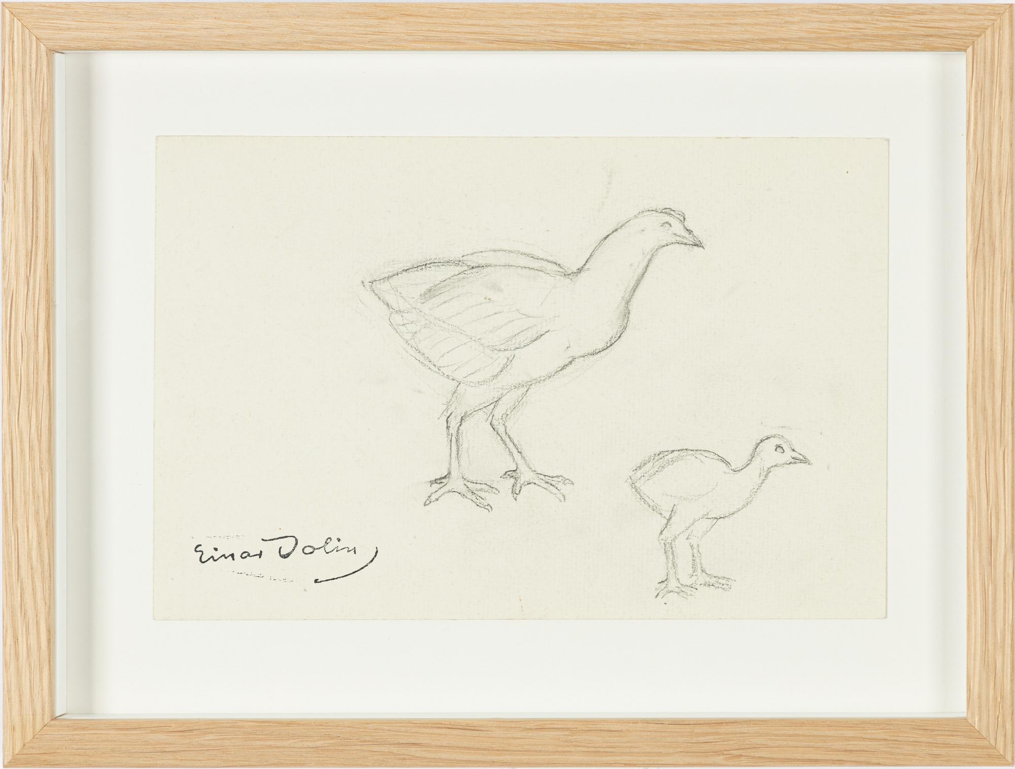 Einar Jolin, Birds.