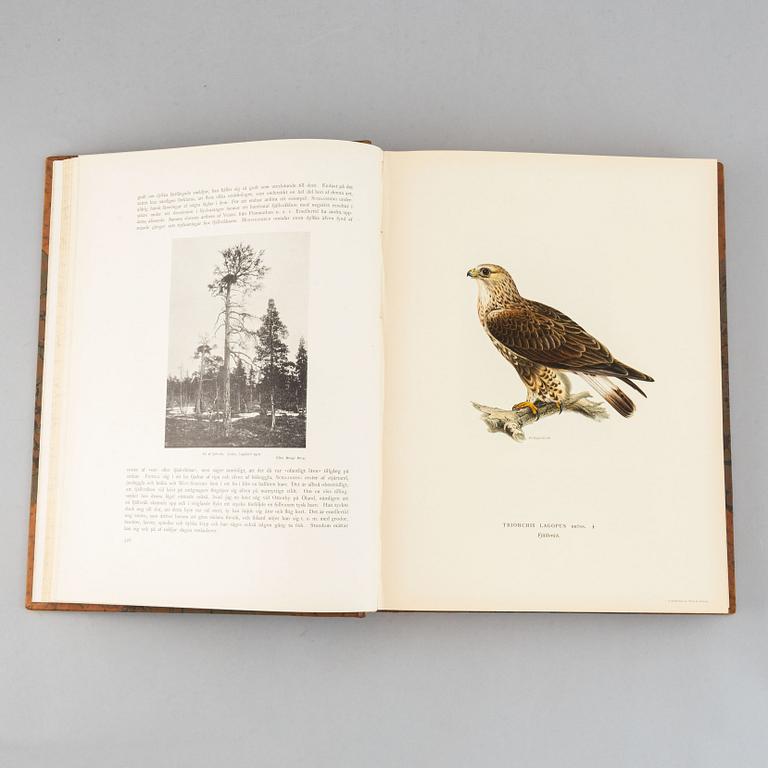 Bröderna von Wright , bokverk, 3 band, "Svenska fåglar", Börtzells tryckeri AB, Stockholm, 1924-1929.