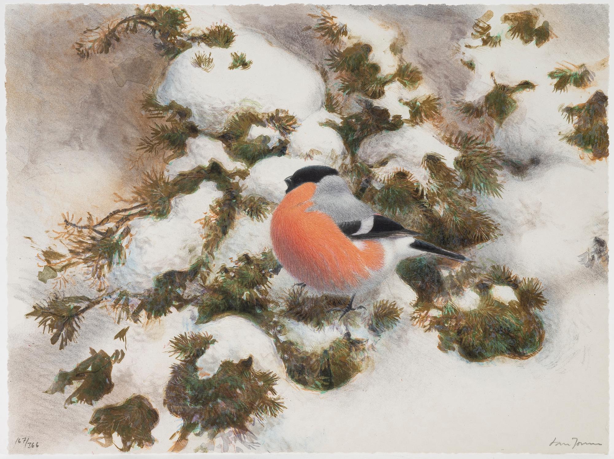 Lars Jonsson, portfölj "Dagrar", 2000,  med 12 färglitografier, signerade 167/366.