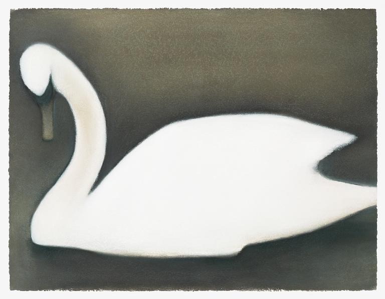 Mats Gustafson, "Svan".