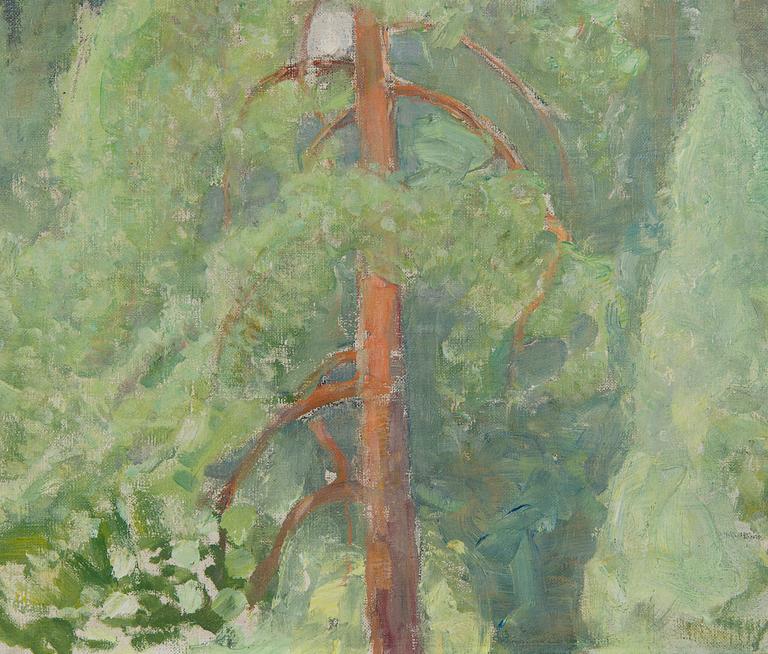 Pekka Halonen, Näkymä Kotajärveltä.