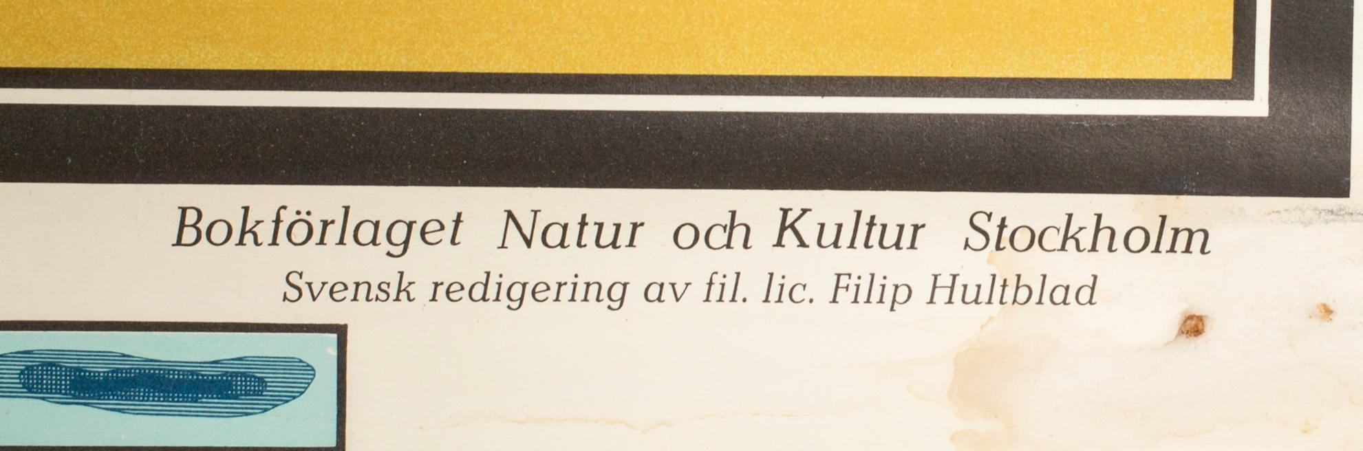 SKOLPLANSCH Fysisk Världskarta Natur & Kultur 1950-tal.