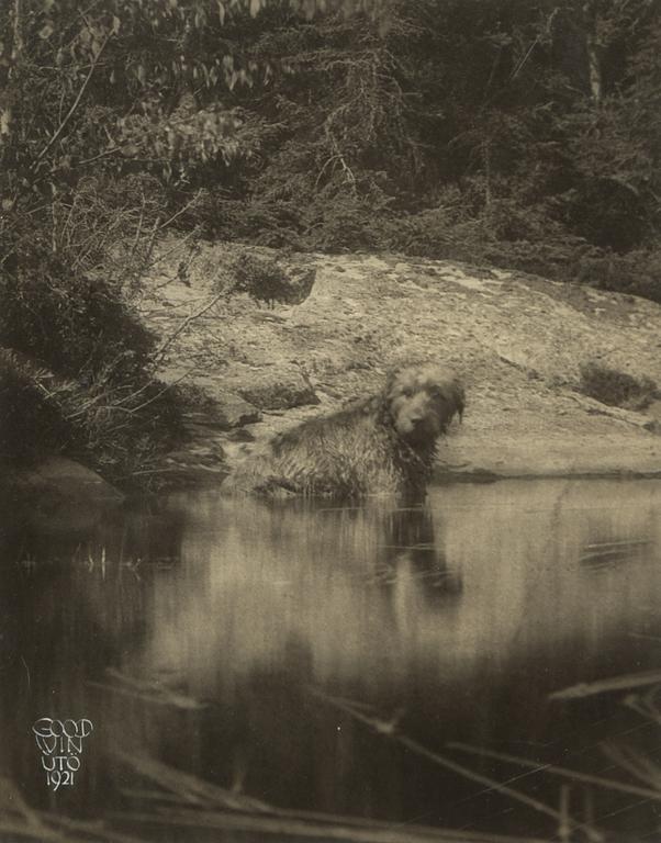 Henry B. Goodwin, silvergelatin fotografi, signerad, 1921.