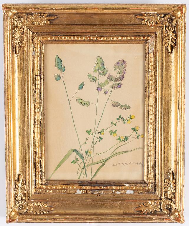 Olle Hjortzberg, watercolor, signed.