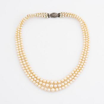 Cultured three strand pearl necklace, clasp silver.