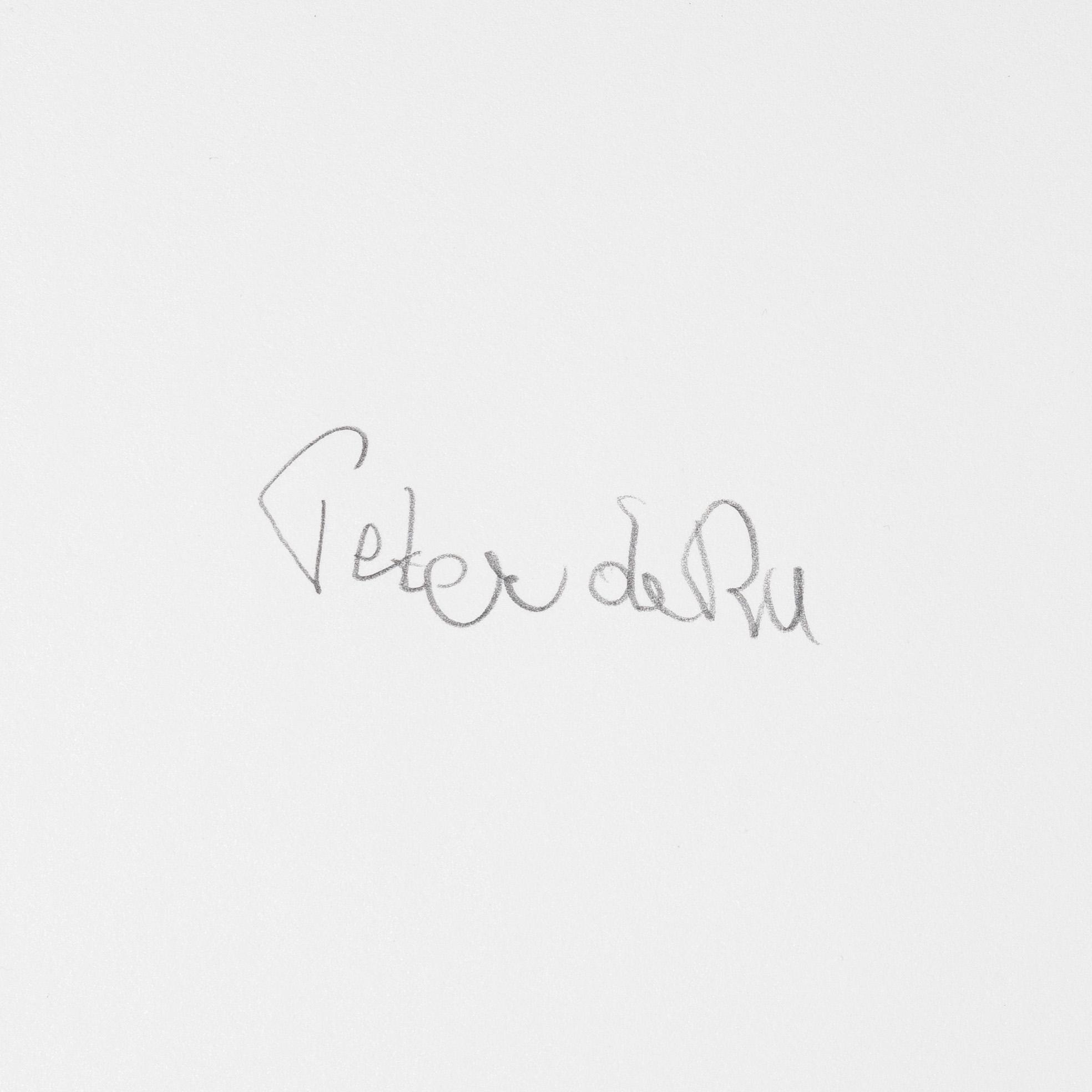 Peter de Ru, "Shiba (Japanese Spitz)", 2004.