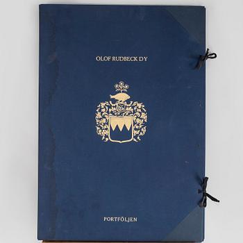 Olof Rudbeck d.y.,