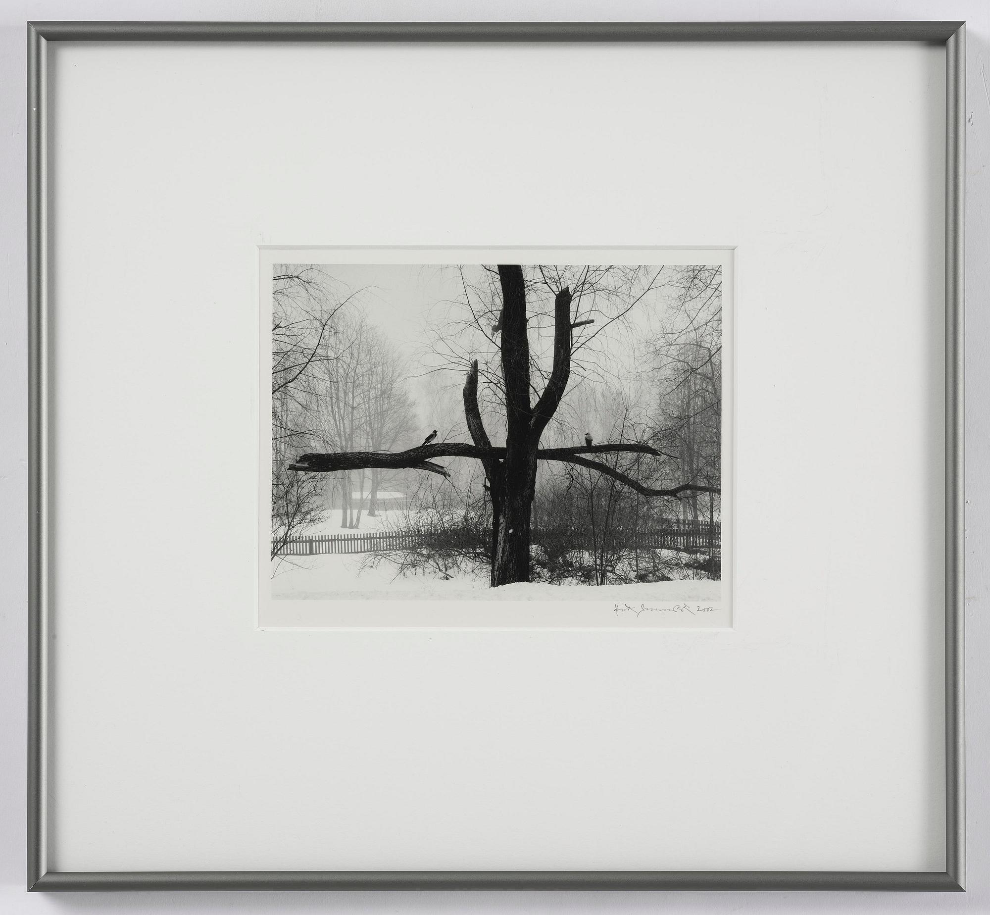 Pentti Sammallahti, Utan titel, 2002.