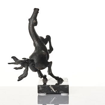 Sergio Capellini, stegrande häst.