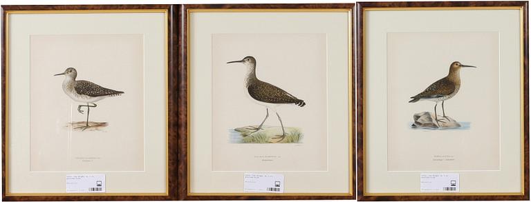 Von Wright, M, 3 st, grafiska blad.