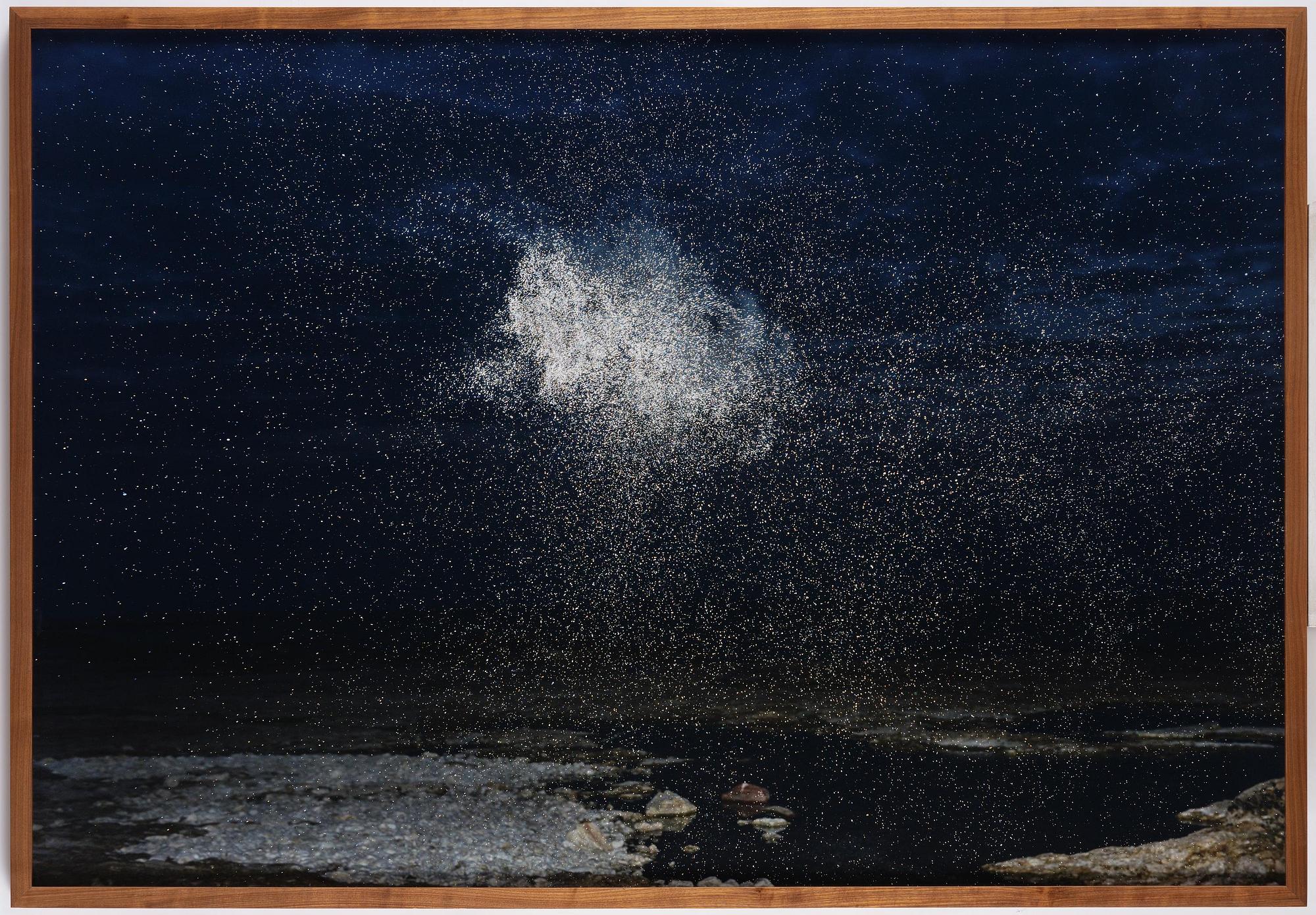 Inka & Niclas Lindergård, "Becoming Wilderness V", 2013.