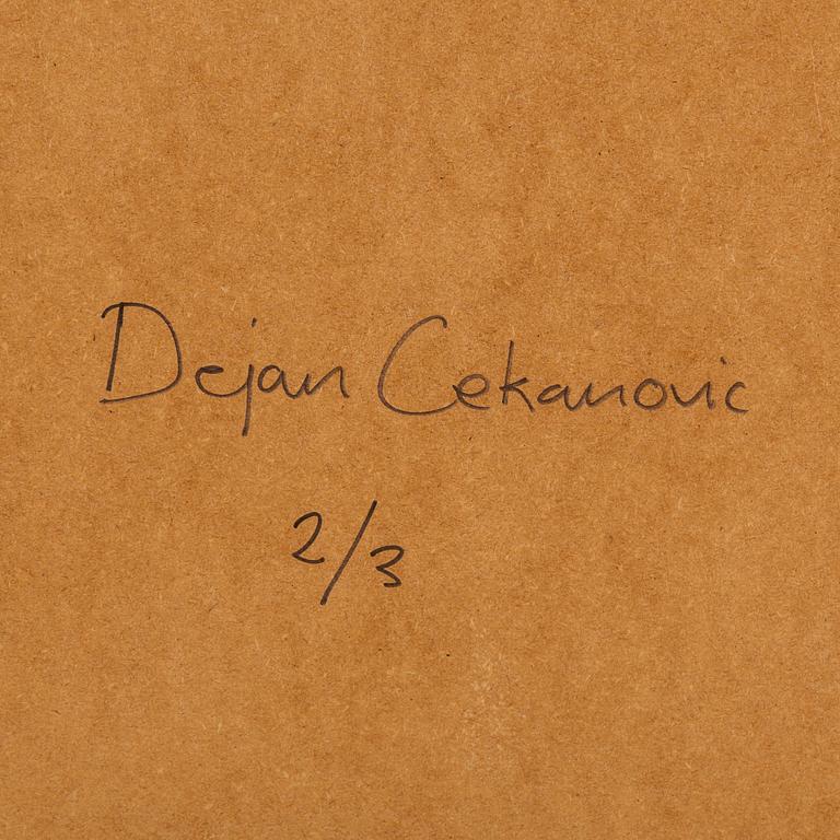 DEJAN CEKANOVIC, Archival Pigment Print. Signerad och numrerad 2/3 a tergo.