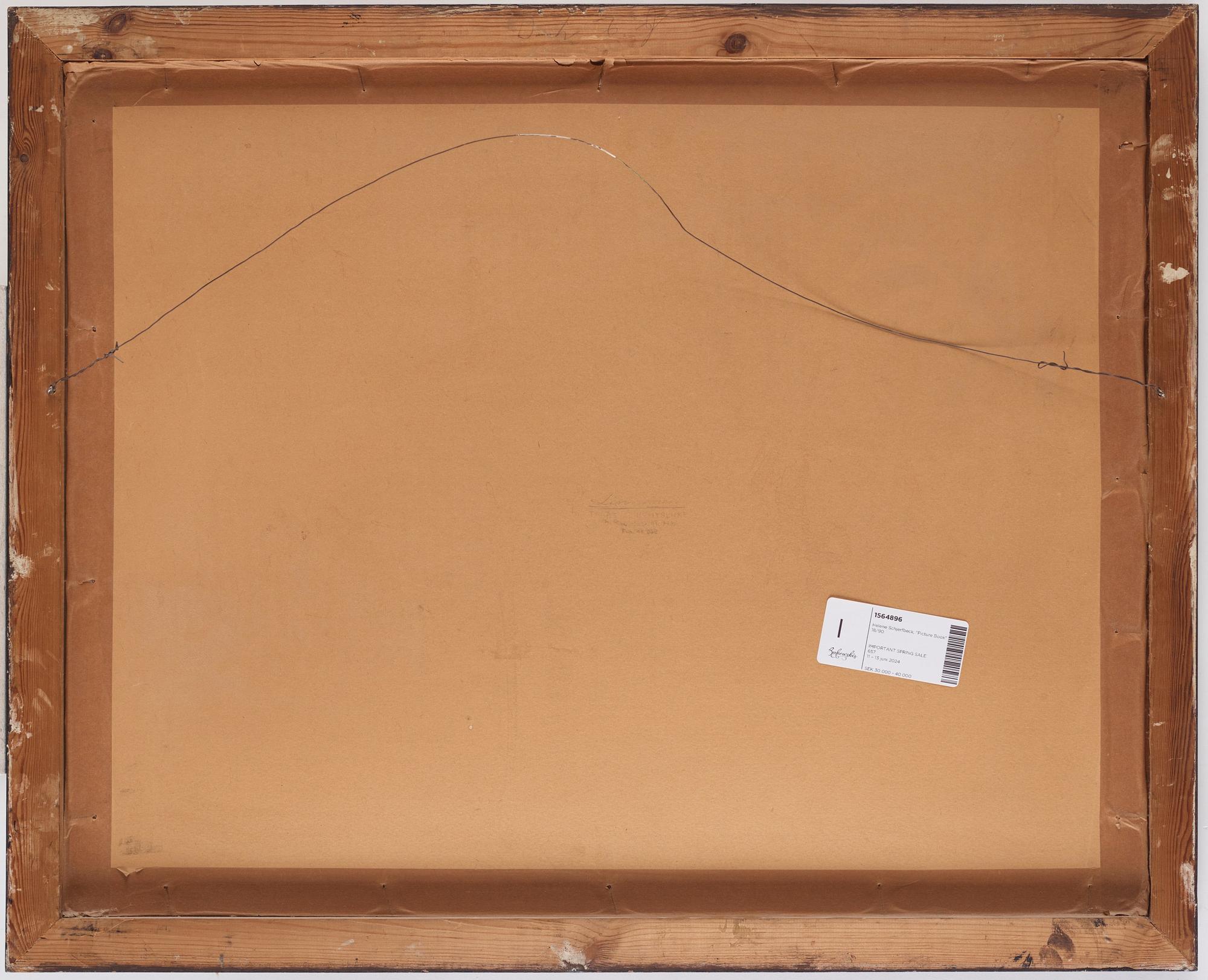 Helene Schjerfbeck, "Bilderboken".