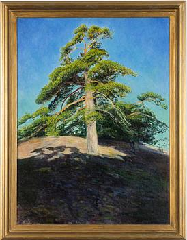Arthur Bianchini, "Tall i morgonsol".