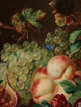 Amalie Kärcher, Still life with plums, figs, grapes, and insects.