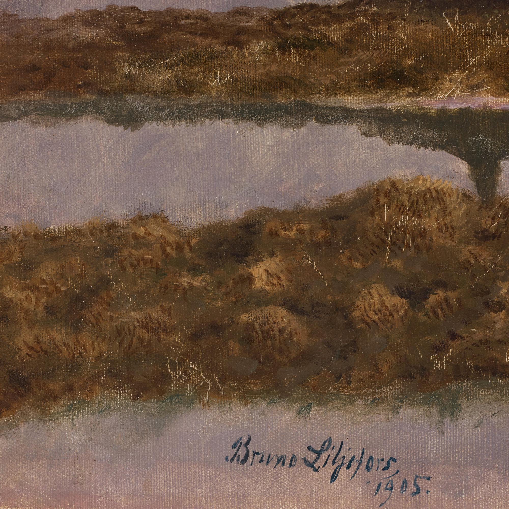 Bruno Liljefors, Geese in wetland.