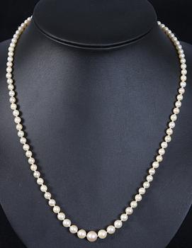 PÄRLHALSBAND, 2 st, 1900-tal.