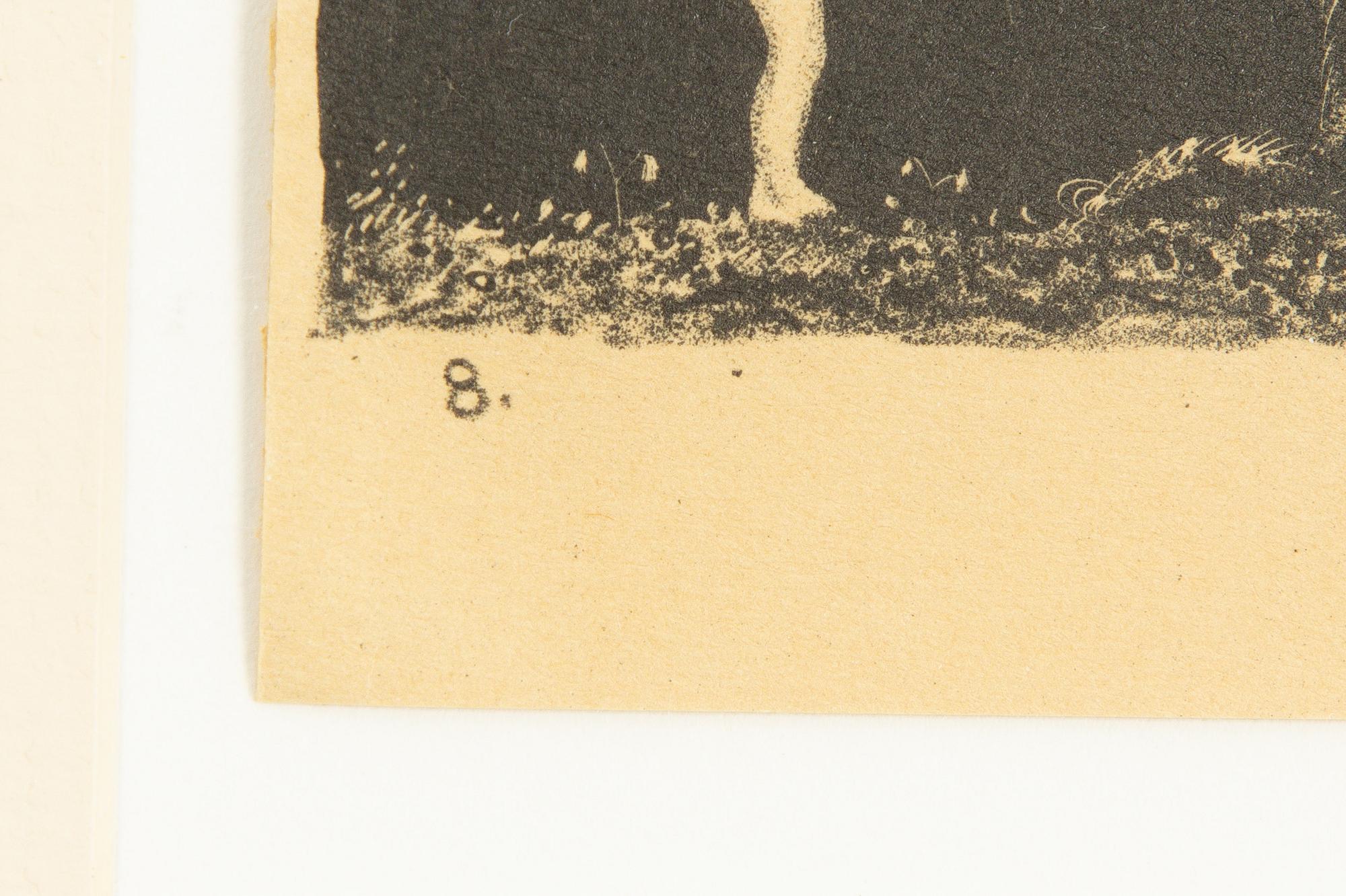 John Bauer, "En sådan eländig liten bleknos, sa Trollet".