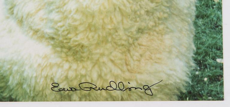 Ewa Rudling, photograph signed.