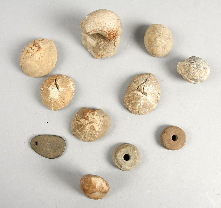 PARTI FOSSILER och STENÅLDERSFÖREMÅL, bl a sländtrissor, 6+5 delar.