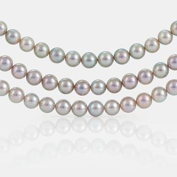 A three strand cultured pearl necklace.