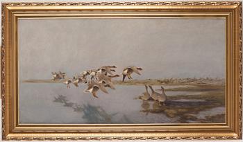 Bruno Liljefors, Geese.